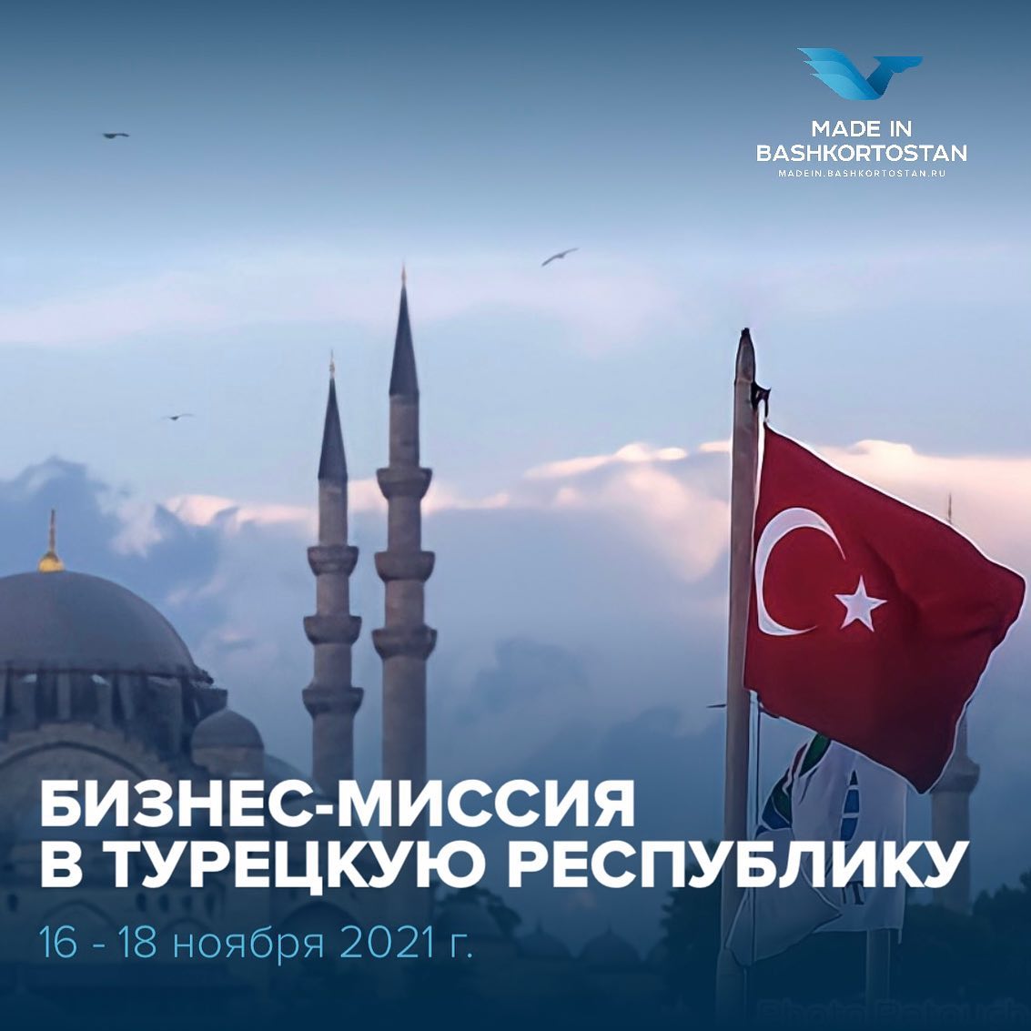 Бизнес-миссия в Турецкую Республику