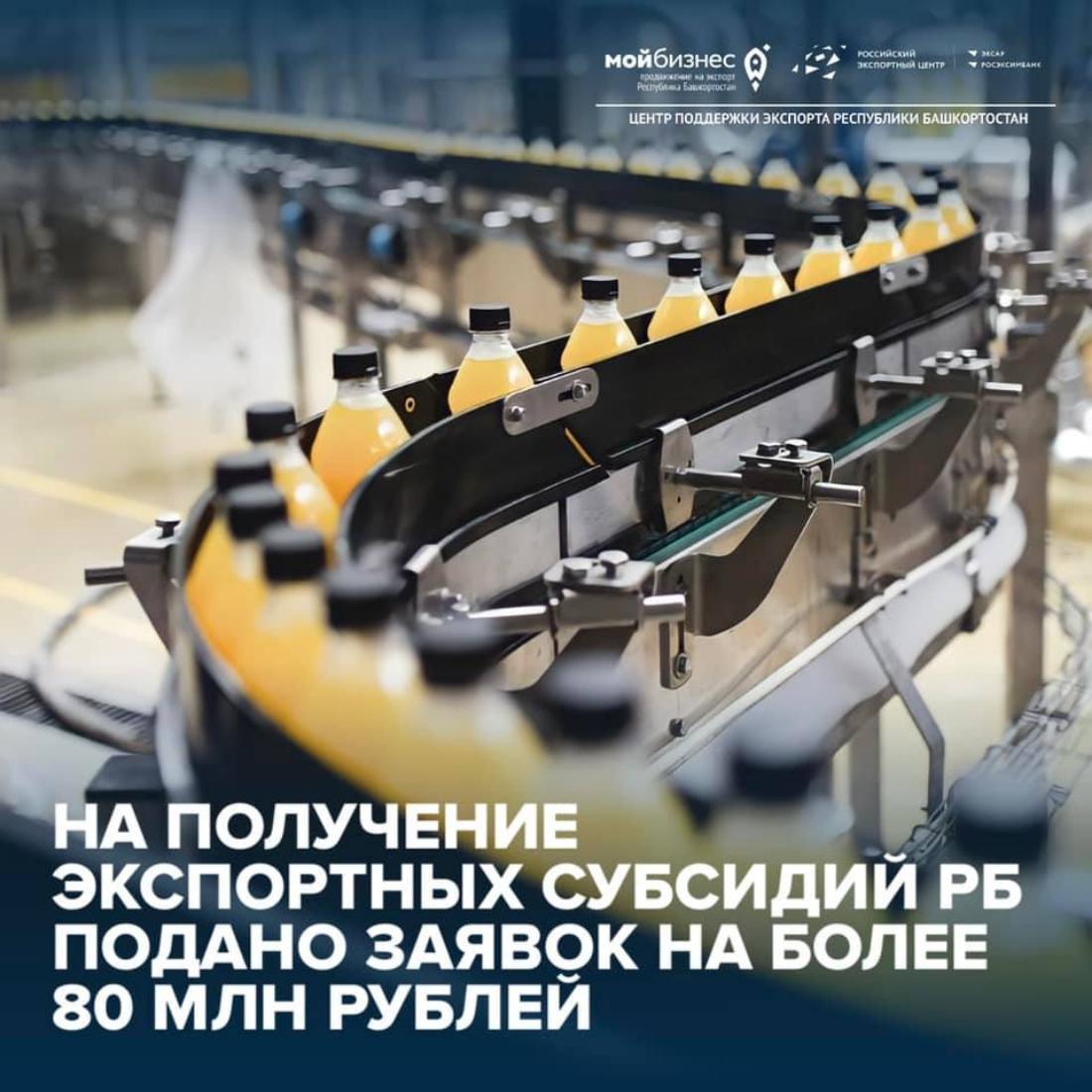 Экспортеры Республики Башкортостан подали заявки на получение экспортных субсидий более чем на 80 млн. рублей 