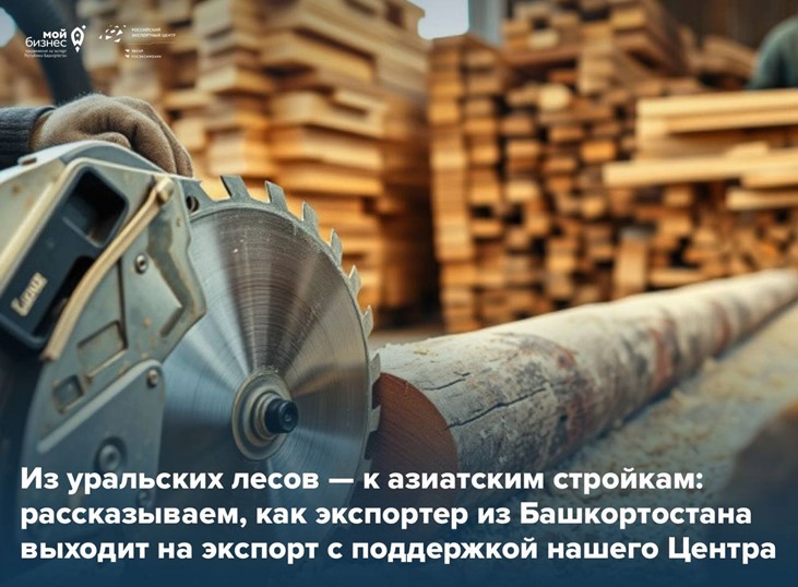Малый бизнес — большие рынки: пиломатериалы из Башкирии покоряют Азию