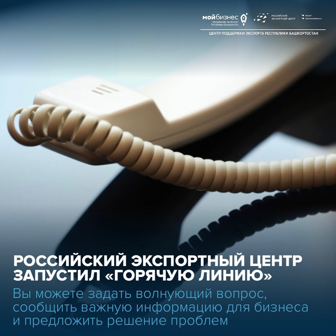 Российский экспортный центр запустил «горячую линию»