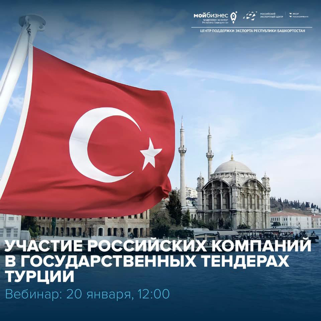 Возможности участия в государственных тендерах Турции