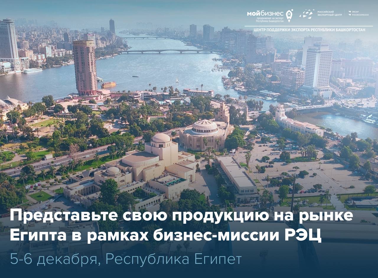 Заключайте прибыльные сделки с арабскими партнерами с поддержкой РЭЦ: открыт прием заявок на участие в бизнес-миссии в Египет