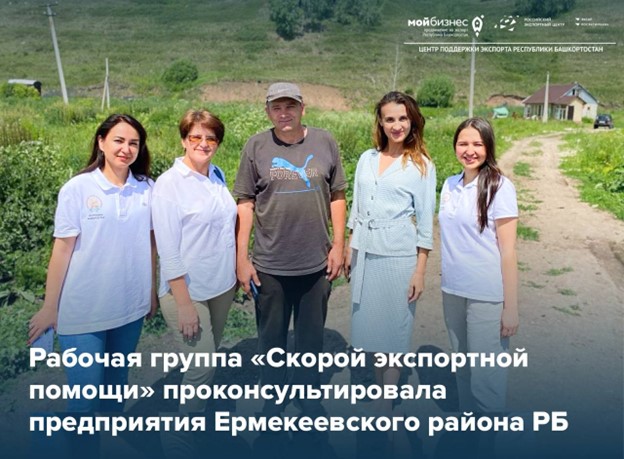 Предприятия Ермекеевского района РБ получили консультацию от специалистов «Скорой экспортной помощи»