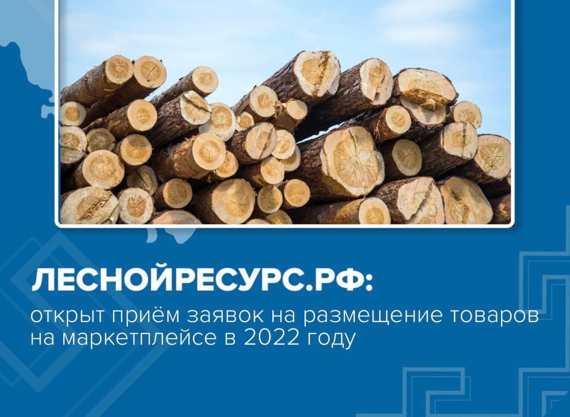 Новые возможности для производителей лесной и деревообрабатывающей промышленности