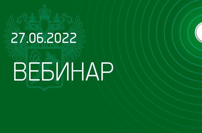 Вебинар ФТС России