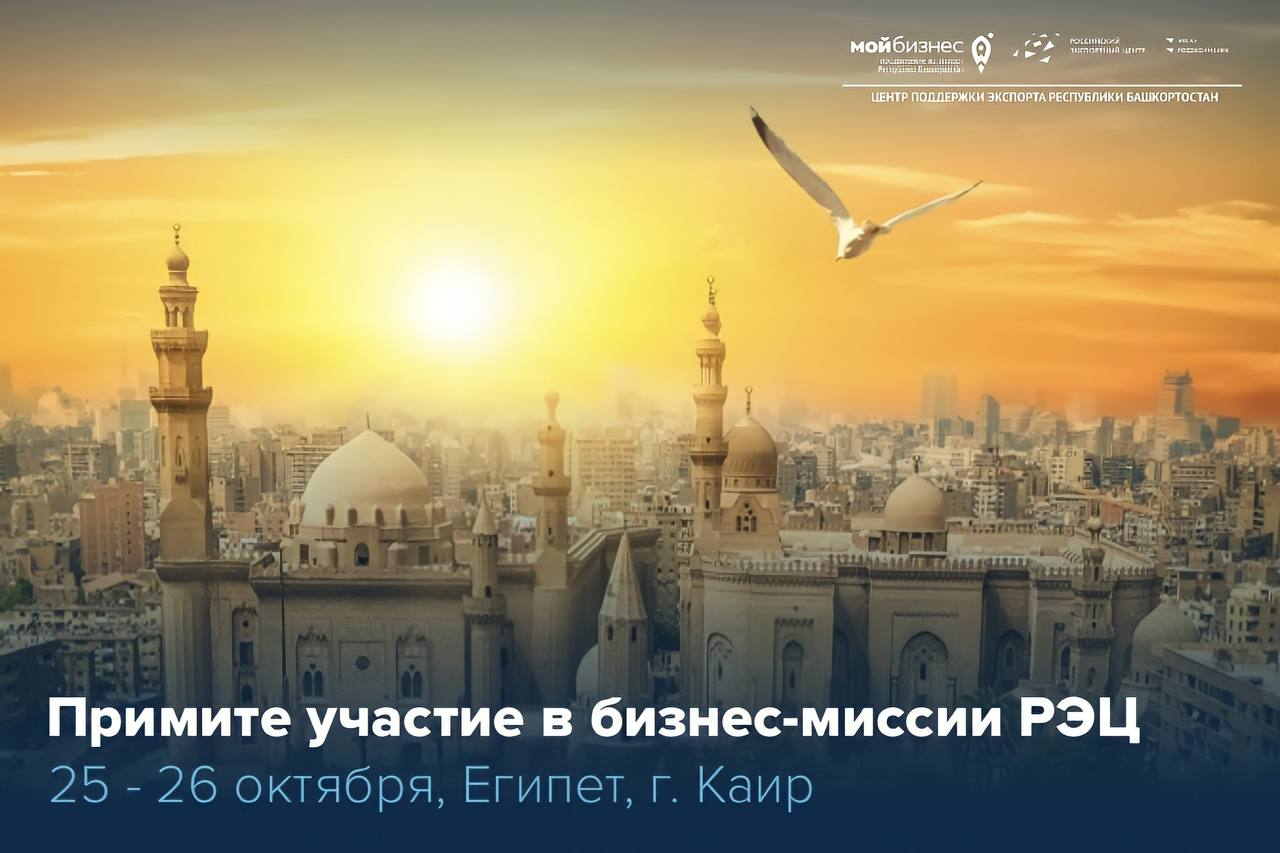 Примите участие в бизнес-миссии РЭЦ в Египет