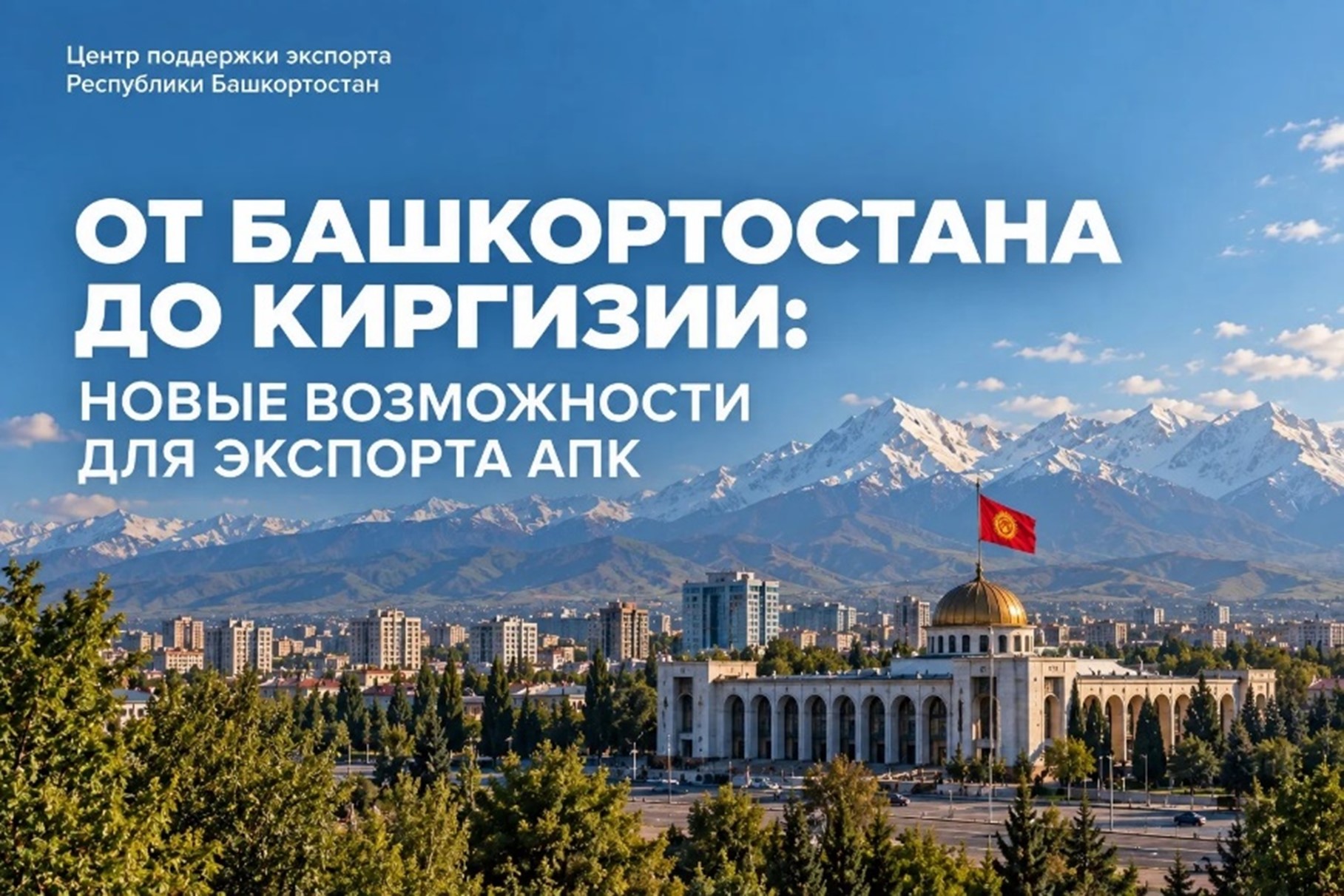 Экспорт продукции АПК в Киргизию: где искать покупателей и как выйти на новый рынок? 
