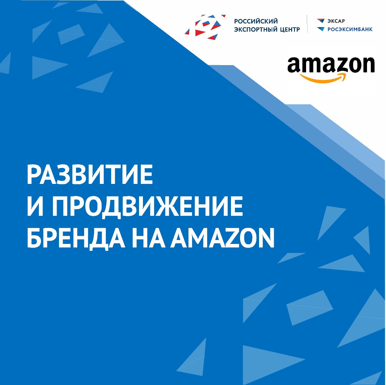 Развитие и продвижение бренда на Amazon