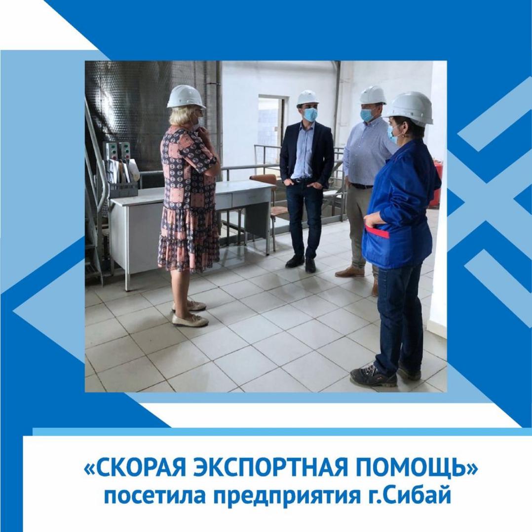 В рамках обучения бизнес-шерифов Зауралья Республики Башкортостан состоялся выезд «Скорой экспортной помощи» на 6 экспортно-ориентированных предприятий ГО г.Сибай.