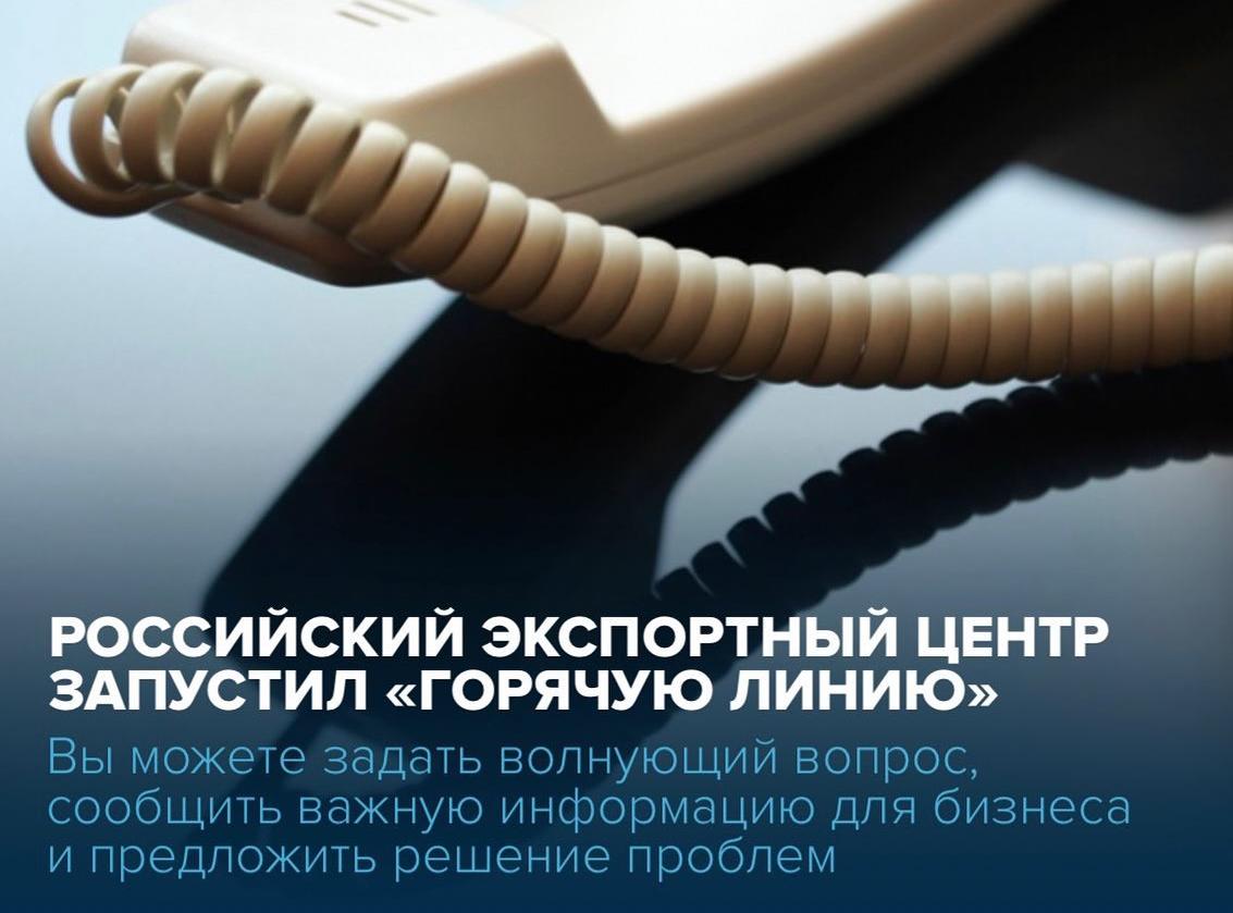 Российский экспортный центр запустил «горячую линию»