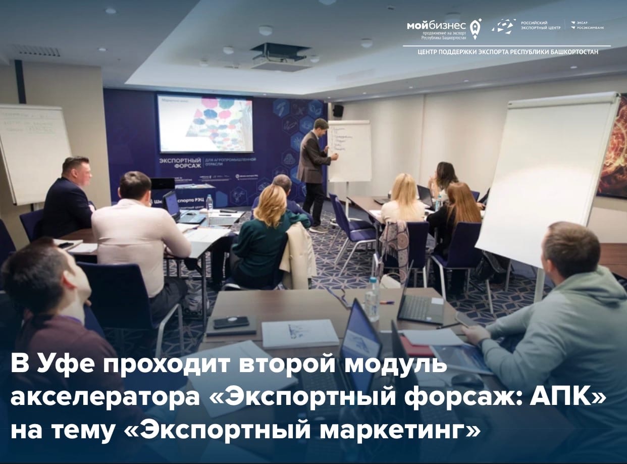 Бизнес-акселератор обучает маркетингу агропредпринимателей региона