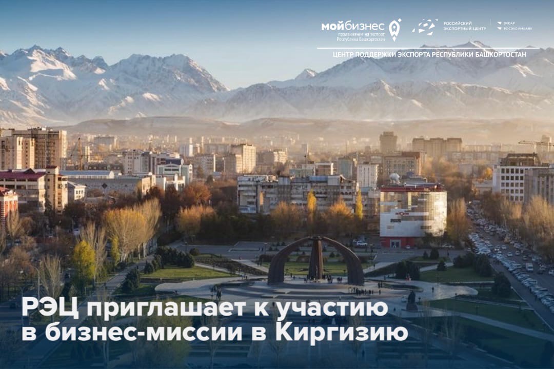 Бизнес-миссия РЭЦ в Киргизию
