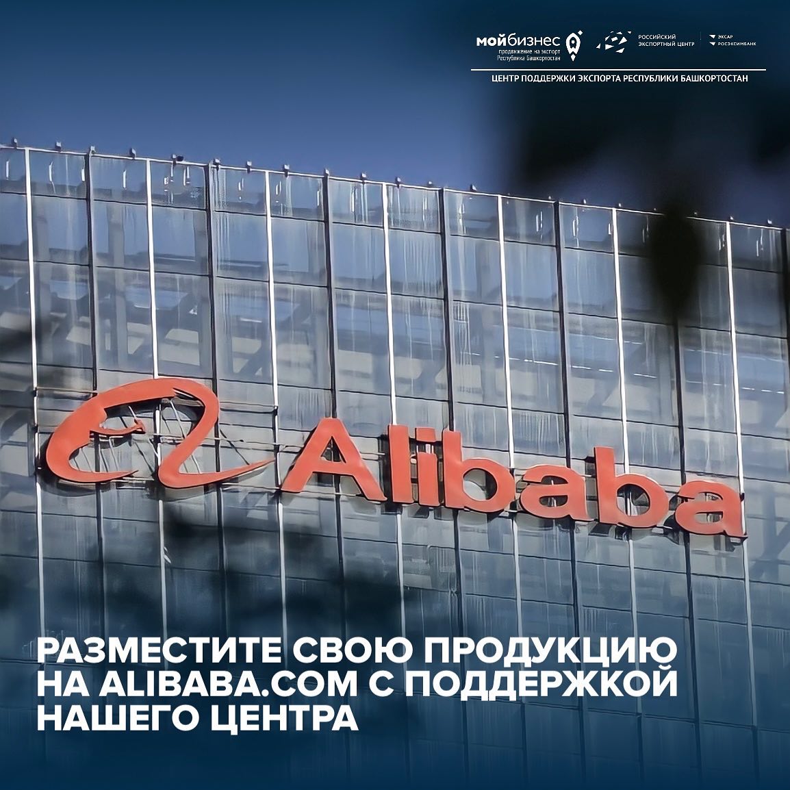 Бесплатное размещение вашего бизнеса на alibaba.com с поддержкой нашего центра