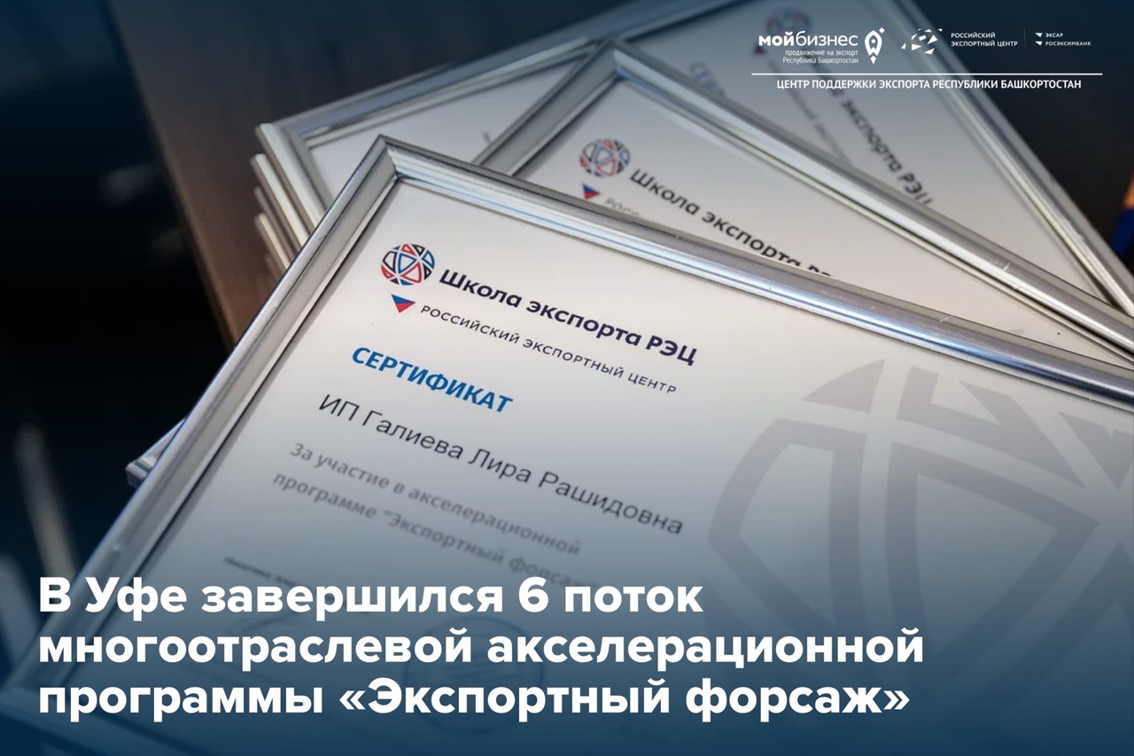 Завершилось обучение 6 потока акселератора «Экспортный форсаж»