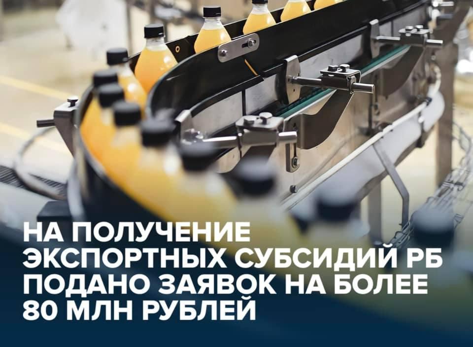 Экспортеры Республики Башкортостан подали заявки на получение экспортных субсидий более чем на 80 млн. рублей 