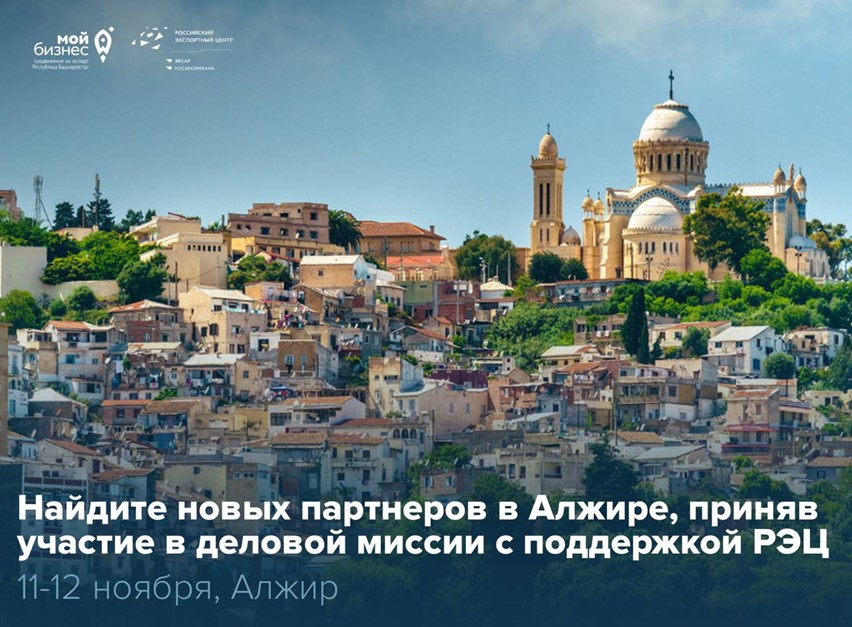 Найдите новых партнеров в Алжире, приняв участие в деловой миссии с поддержкой РЭЦ