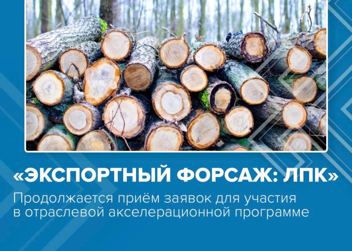 22 декабря состоялось информационное мероприятие для участников специализированной отраслевой акселерационной программы «Экспортный форсаж: ЛПК»
