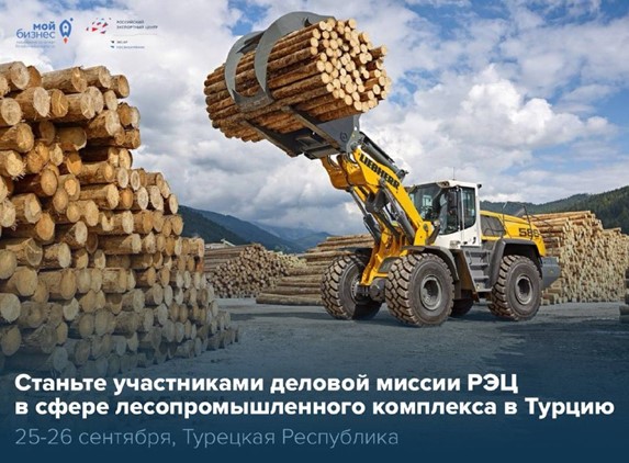 Деловая миссия РЭЦ в сфере лесопромышленного комплекса в Турцию 2025