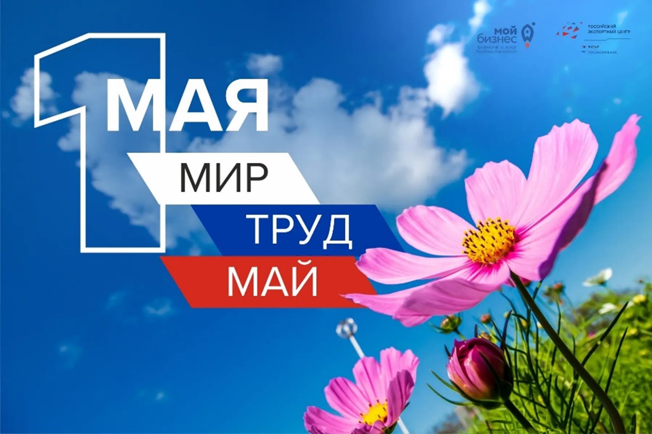 С праздником весны и труда!