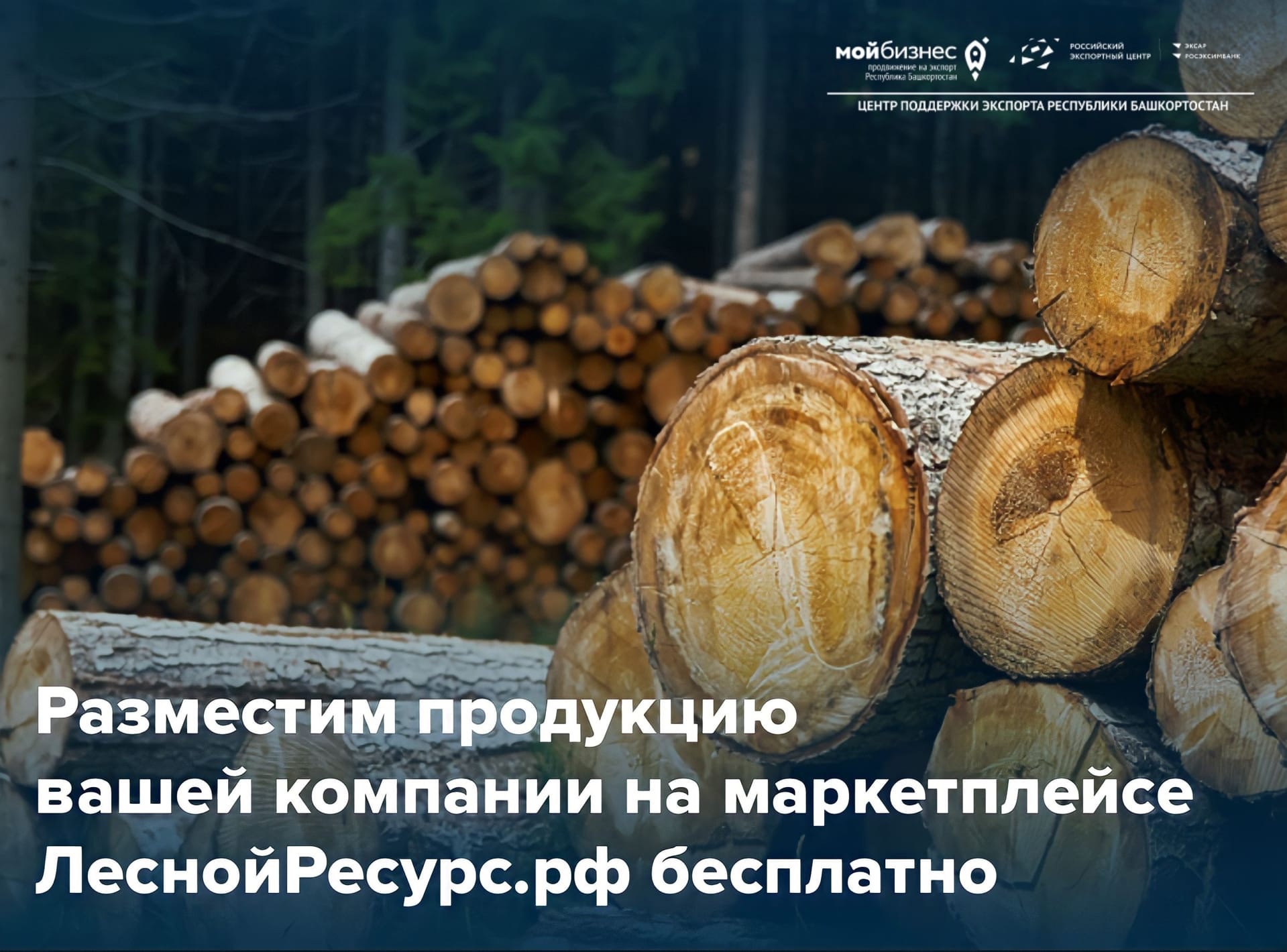 Разместите свою продукцию на одном из самых крупных порталов лесной отрасли бесплатно