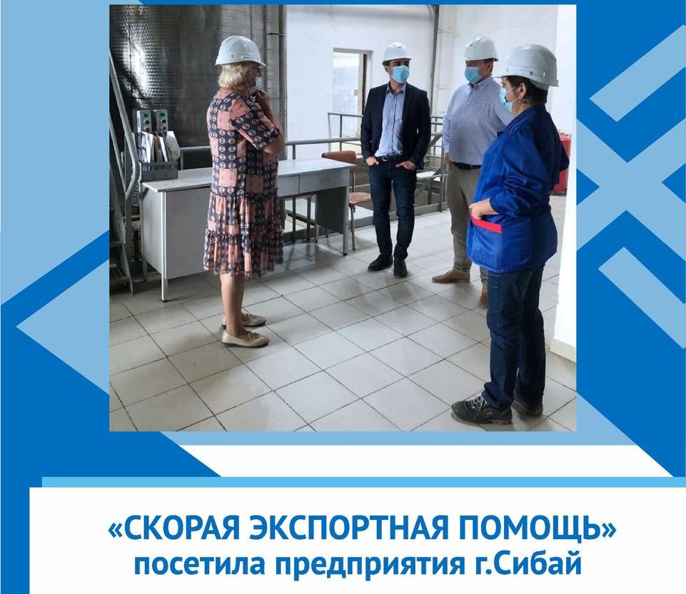 В рамках обучения бизнес-шерифов Зауралья Республики Башкортостан состоялся выезд «Скорой экспортной помощи» на 6 экспортно-ориентированных предприятий ГО г.Сибай.